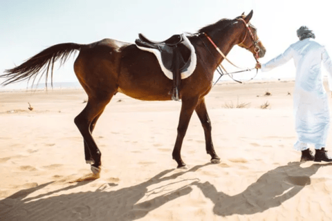 Doha: Souq Waqif Tour with Sealine Horse Riding Experience