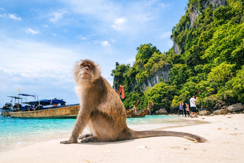 Krabi: Phi Phi Islands Speedboat Premium Tour with Lunch Phi Phi Islands Premium Join Tour by Speedboat with Lunch