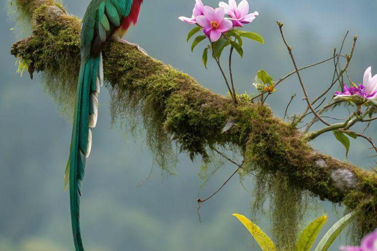 Manu: 7-Day Amazon Wildlife Tour with Jungle Lodges