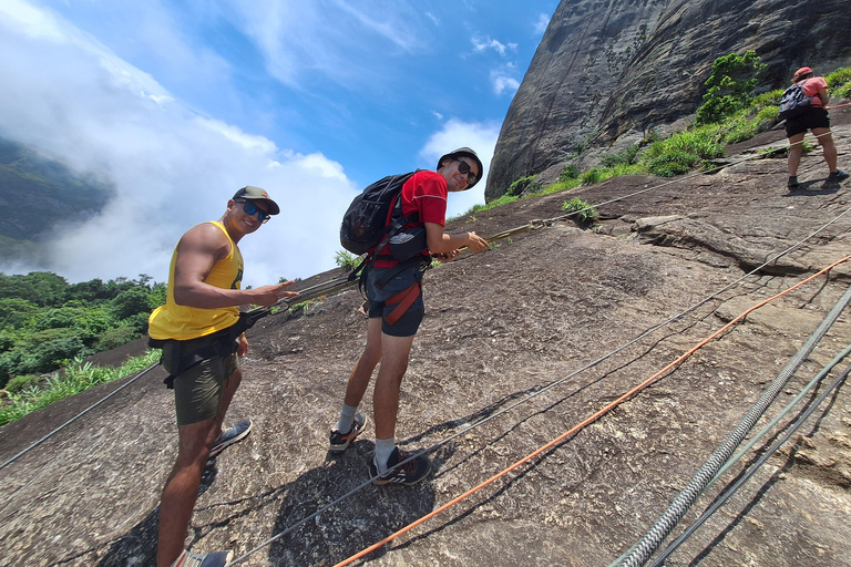 Rio de Janeiro: Pedra da Gávea - guided hike with best views