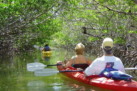 Unawatuna: 4-Day Stay with Yoga, Kayaking, and Jewelry