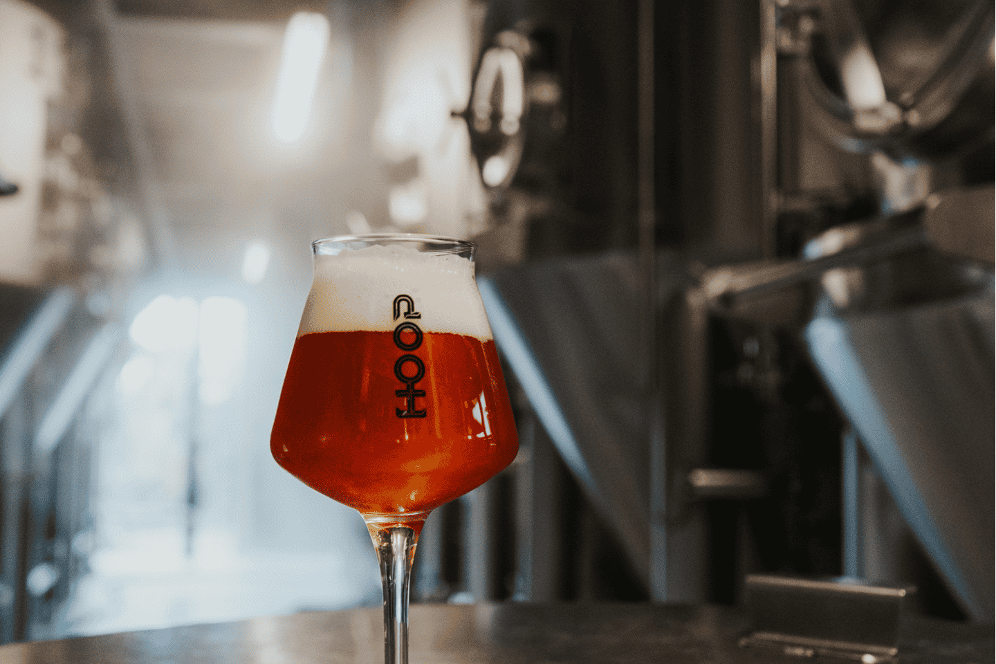 Zaanse Schans: Beer Tasting Experience at Brewery HOOP