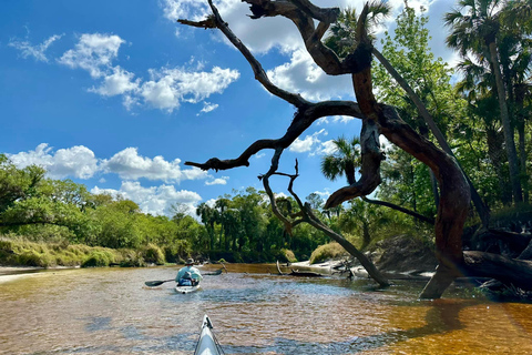 Orlando Alligator Experience: Day-Trip From Orlando Standard Option