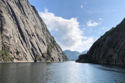 Stavanger: Lysefjord, uitzichtspunt Høllesli & tocht Ytra Dorvika