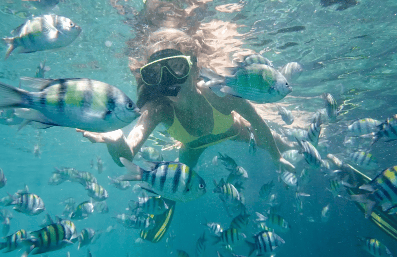 Bali Tulamben: Liberty Shipwreck Snorkeling & Kayak Day Trip