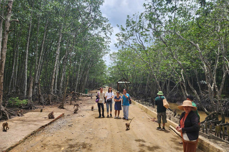 Excursão de 1 dia à floresta de mangue de Can Gio e à Ilha dos Macacos