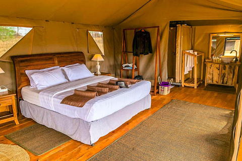 Following The Great Migration Safari in Style – 2025