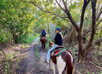 迈阿密，海滩骑马与自然步道 - Housity