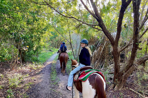 Miami : Promenade à cheval sur la plage et sentier de découverte de la nature