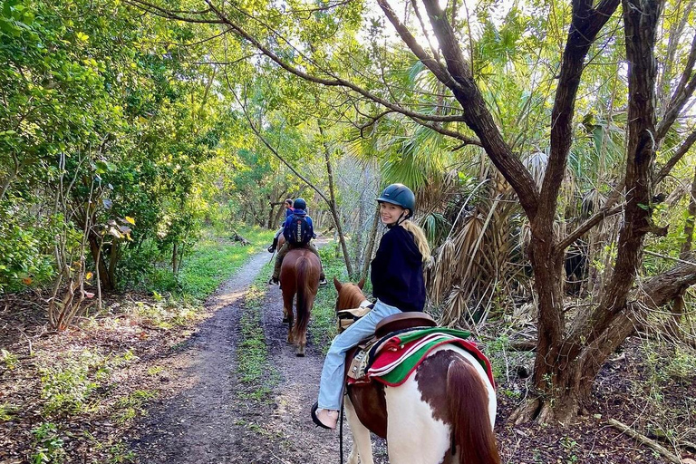 Miami: Paseo a Caballo por la Playa y Sendero Natural