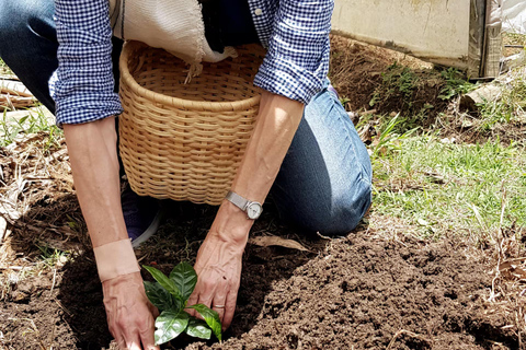 Medellin: La Casa Grande Coffee Hacienda - Coffee Experience