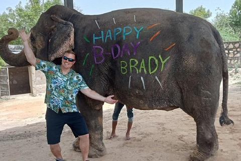 Jaipur: Hathigao Elephant Village Ride, Feeding, & Photos Riding, Feeding, Climbing And Photography with Elephant