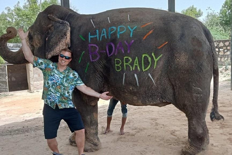 Jaipur: Hathigao Elephant Village Ride, Feeding, & Photos Riding, Feeding, Climbing And Photography with Elephant