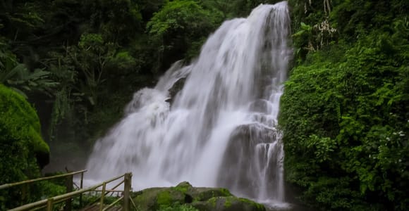 Chiang Mai: Private Local Driver Doi Inthanon National Park