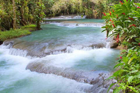 Bob Marley Mausoleum & Dunn’s River Falls Private Tour