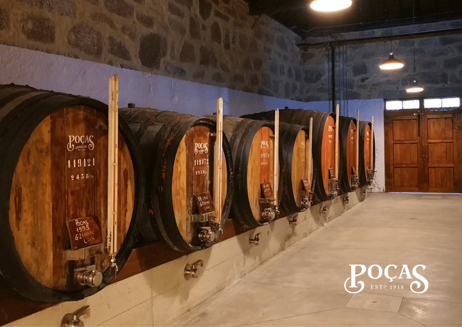 Porto: Tour guidato e degustazione di 3 vini di Porto a Poças