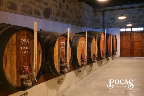 Oporto: Visita guiada y cata de vinos DOC Duero y Oportogira en español