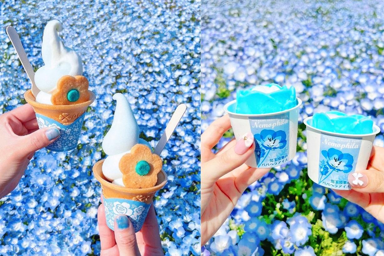 Tokyo & Ibaraki Tour: Hitachi Seaside Park & Adachi Wisteria