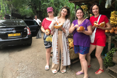 Kandy: Dambulla, Pidurangala Rock, and Cooking Day Trip Sri Lanka : Kandy, Rice Field, Golde Buddha, Village Lunch .