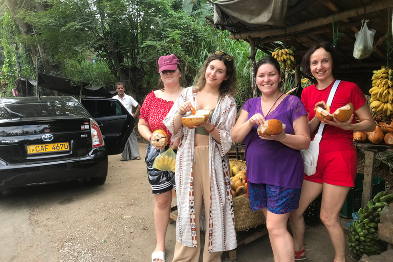 Kandy: Dambulla, Pidurangala Rock, and Cooking Day Trip Sri Lanka : Kandy, Rice Field, Golde Buddha, Village Lunch .