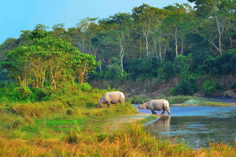 Catmandu: Excursão de 4 dias com safári particular no Parque Nacional de Chitwan