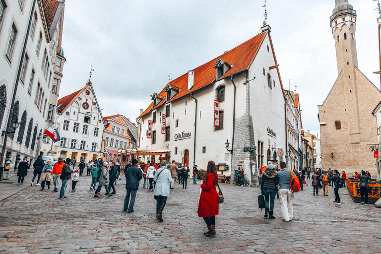 Tallinn: Old Town Walking Tour w/Local Guide & Hidden Gems
