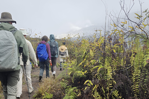 ISABELA ISLAND WONDERS: SULPHUR MINE + AGRO TOUR EXPERIENCE