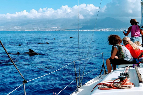 Boat Trip: Dolphin & Whale Watching Sailing Tour 11 Pax Max Boat Trip: Dolphin & Whale Watching Sailing Tour 11 Pax Max