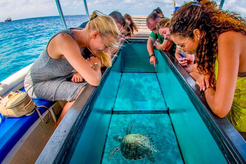 Bali: Glass Bottom Boat & Turtle Conservation Tour