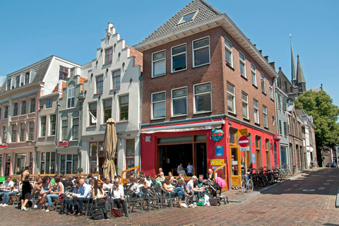 Rotterdam &amp; Haarlem: Private Full-Day Tour from Amsterdam