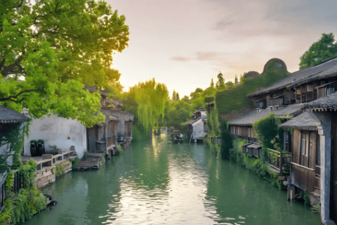 From Hangzhou: Wuzhen Water Town Day Trip & Night Lights