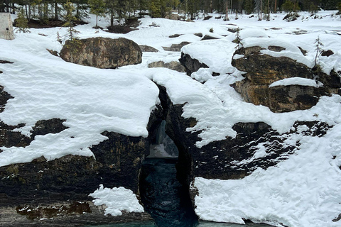 Banff: wycieczka do jeziora Louise, jeziora Emerald i kanionu Johnston