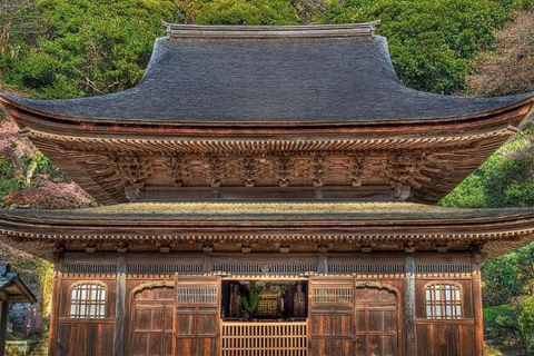 Tokyo: Kamakura Full-Day Private Tour With Best Itinerary