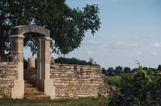 Côte de Nuits: Ausflug mitten in die Weinberge