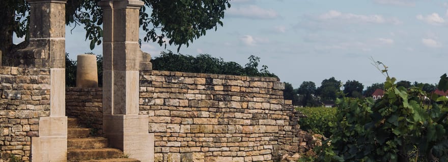 Côte de Nuits: Excursion au milieu des vignes