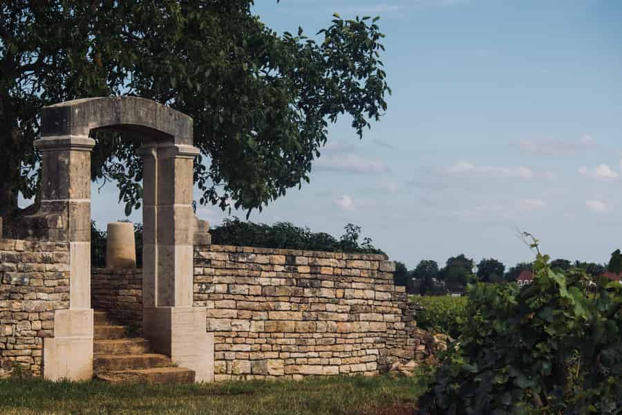 Côte de Nuits: Ausflug mitten in die Weinberge. Foto: GetYourGuide