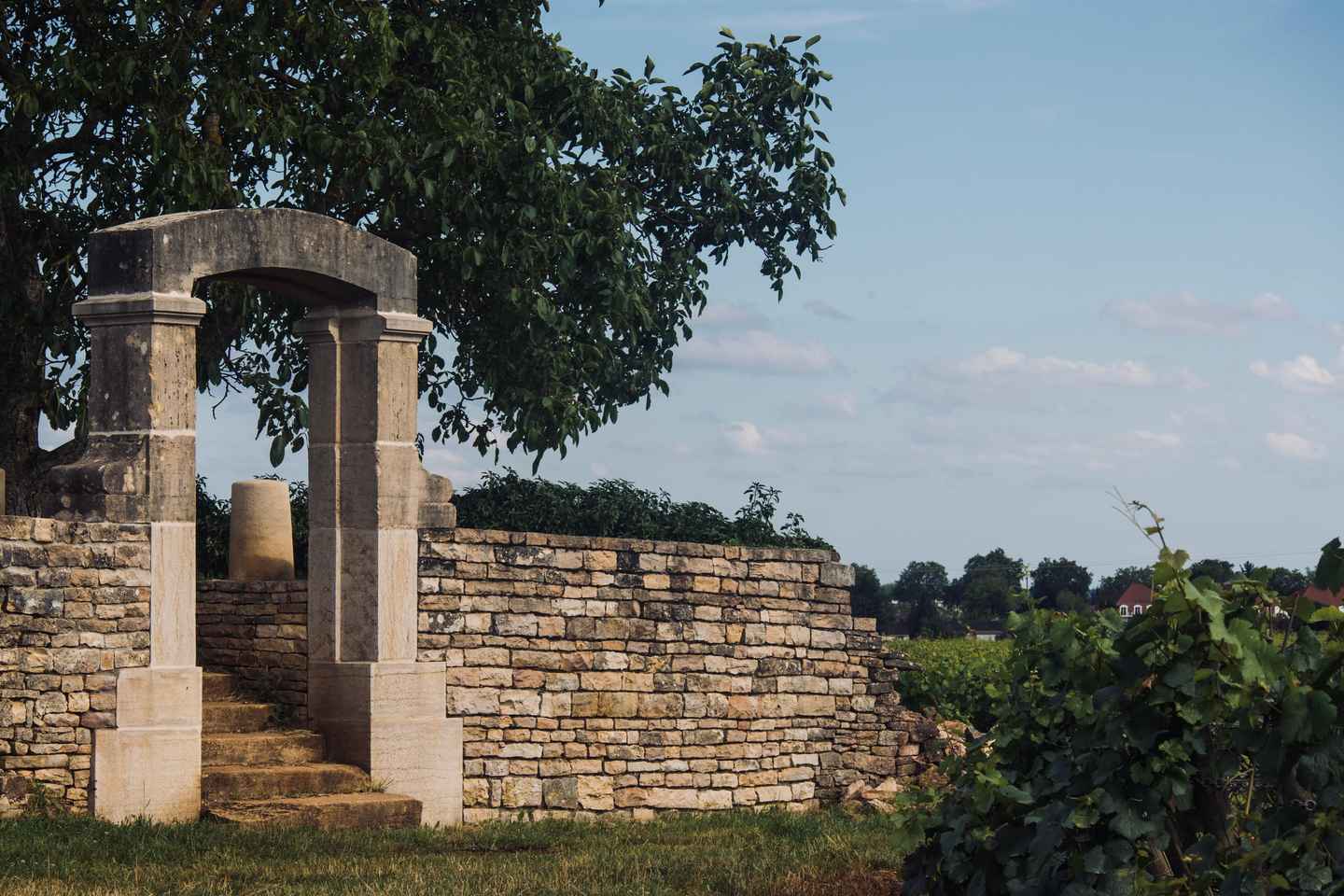 Côte de Nuits: Excursion in the heart of the vineyards