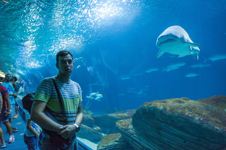 Istanbul: Aquarium Tour with Hotel Transfer Hotel Pickup & Aquarium Tour