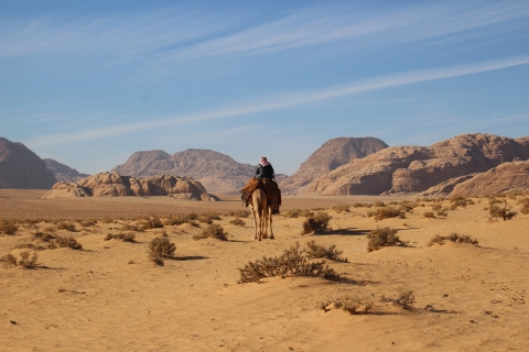 Wadi Rum: korte kameelritervaringWadi Rum: kameelritervaring van 2 uur bij zonsondergang