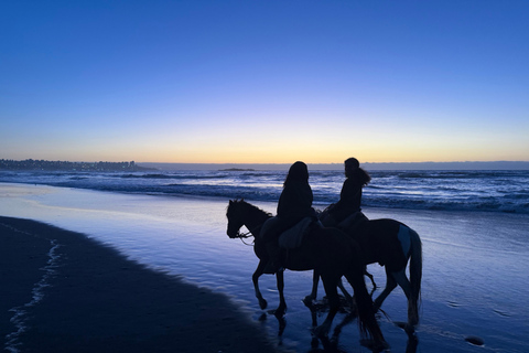 Vineyard, Valparaiso, Horseback Riding, Sea L &amp; BBQ Day Trip