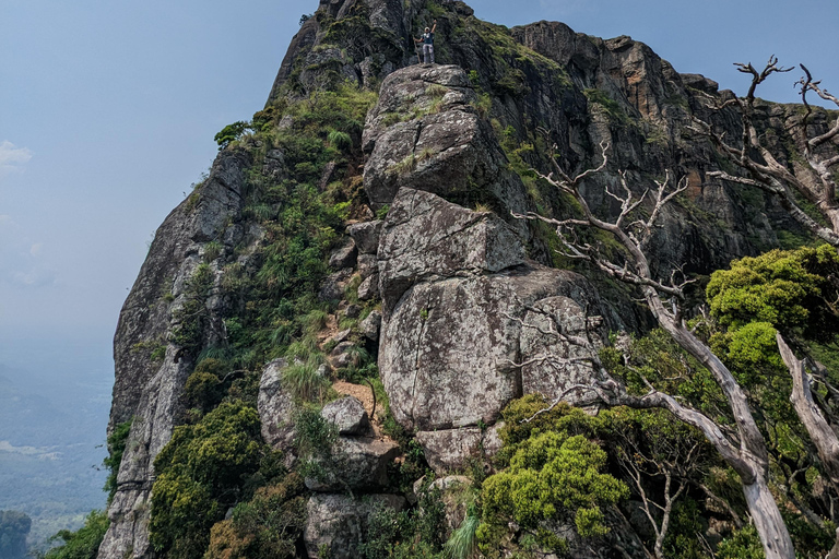 Da Kandy: escursione alle cime gemelle di Kanawiddagala e YahangalaDa Kandy: escursione alle due cime gemelle di Kanawiddagala e Yahangala