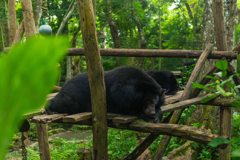 Kuang Si vattenfall, Tree Top Cafe, ziplining och lunch