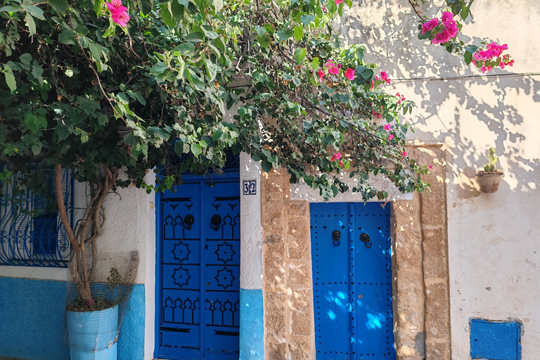 From Tunis: Utica, Bizerte, and Cap Angela Private Day Trip