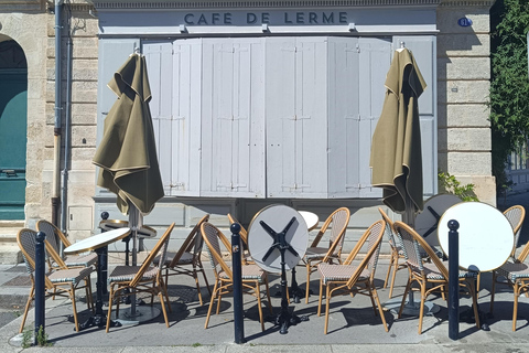 Bordeaux: Small Group Historical & Gourmet Guided Visit