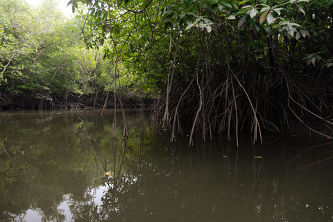 Langkawi Mangrove boottocht op de rivier en privéstrandtourMedium boot (9-12 personen)