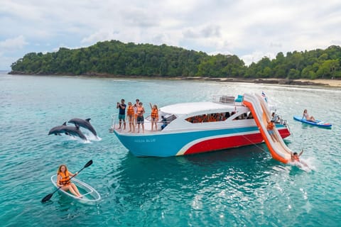 Phuket: Phi Phi Maiton Catamaran Slide & Wild Dolphin Search