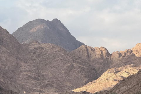 Hurghada: Mount Shaib El Banat Tour with Sandboarding Sand boarding and hiking & camel ride