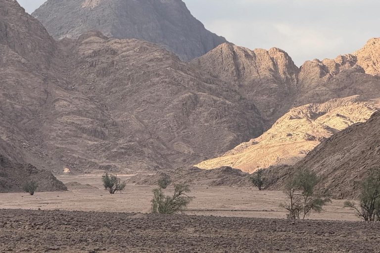 Hurghada: Mount Shaib El Banat Tour with Sandboarding Sand boarding and hiking & camel ride