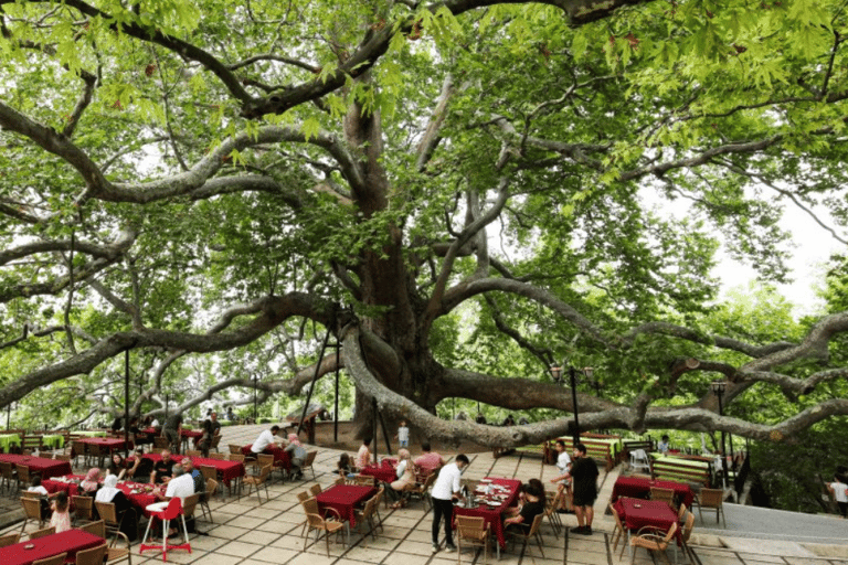 Vanuit Istanbul: Bursa-tour met lunch en kabelbaanrit