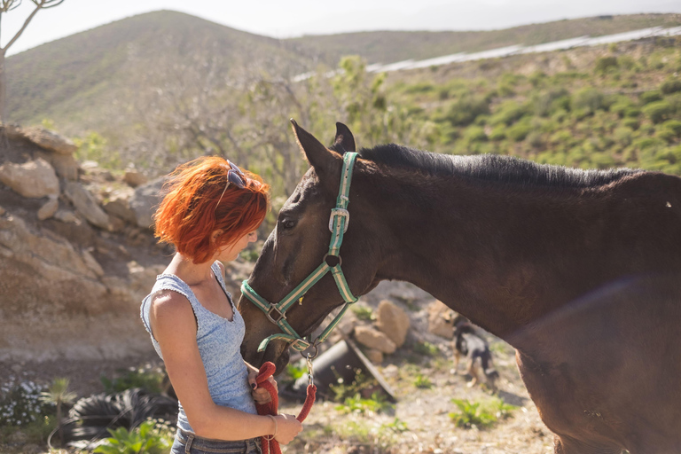 Oaxaca: Valle De Tlacolula Scenic Horseback Ride With Snacks